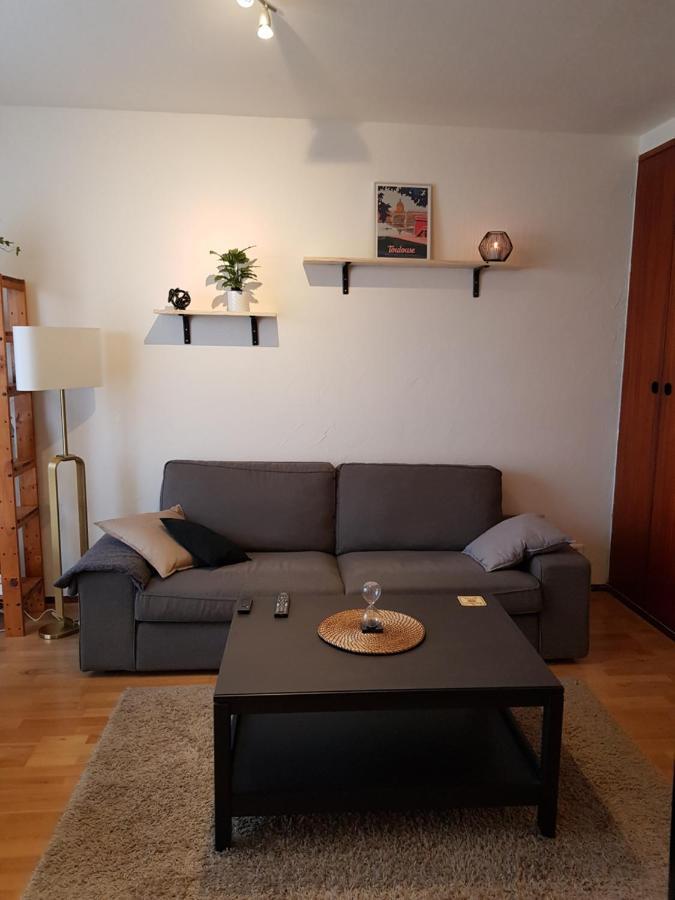 Superbe Appartement En Residence Avec Parking Тулуза Экстерьер фото